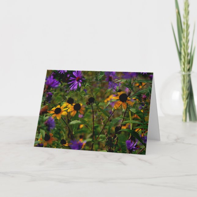 Asters under glas kort (Framsida)
