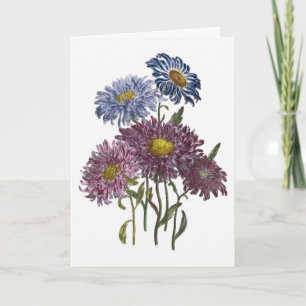 Asters Watercolor Get well-kort snart Kort