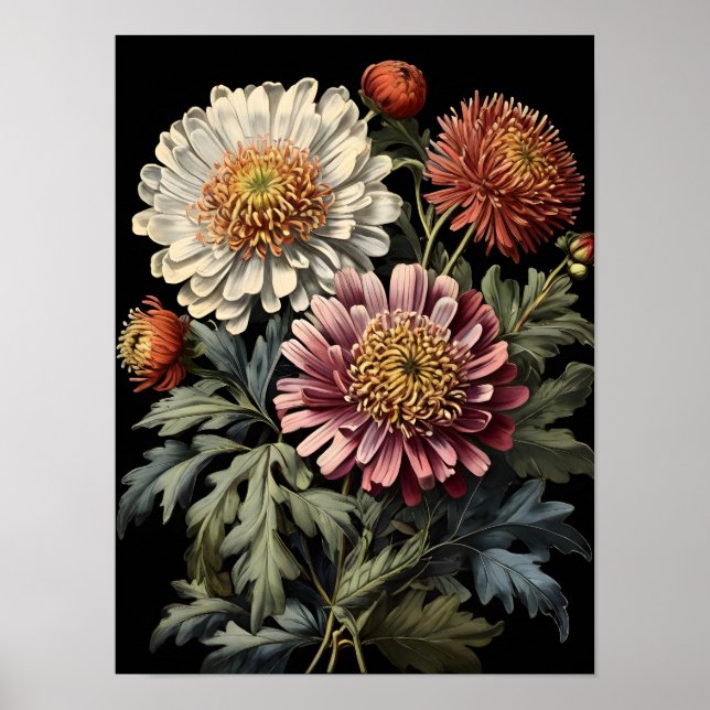 Asters WildblomSymphony Poster (Framsidan)