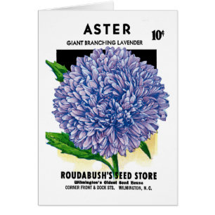 Astervintage kärnar ur paketet hälsningskort