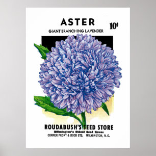 Astervintage kärnar ur paketet poster