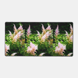 Astilbe