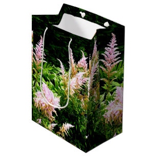 Astilbe