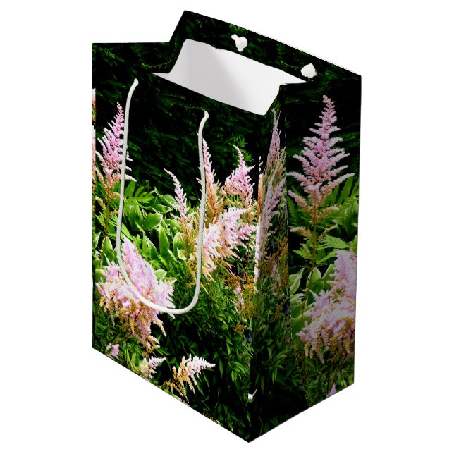 Astilbe (Framsidan Vinklad)