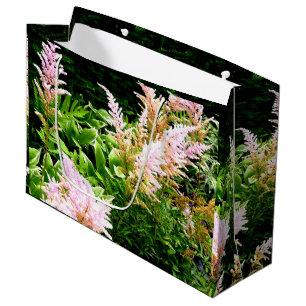 Astilbe