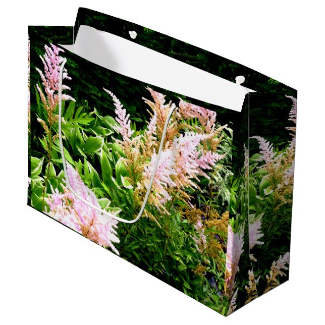 Astilbe (Framsidan Vinklad)