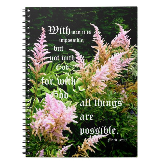 Astilbe med markering 10:27 anteckningsbok (Framsidan)