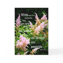 Astilbe med markering 10:27