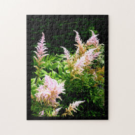Astilbe Pussel