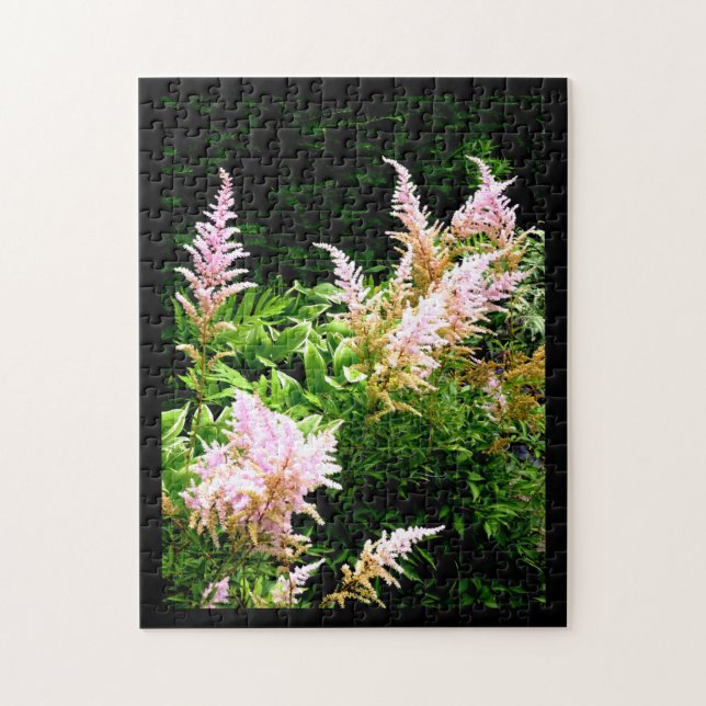 Astilbe Pussel (Vertikal)