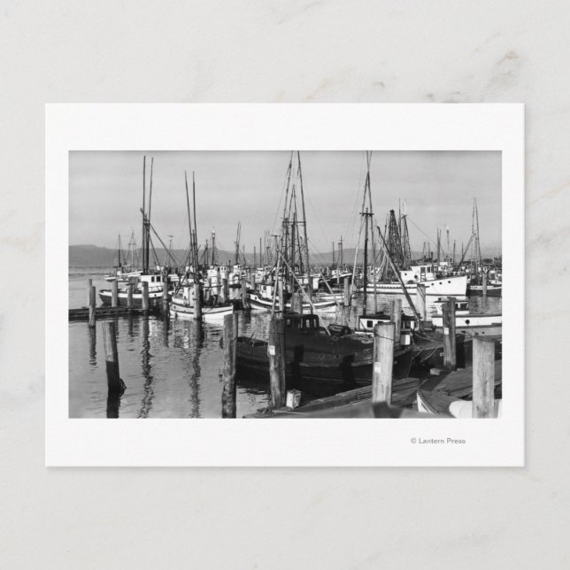 Astoria, Oregon Waterfront View of Fishing Fleet Vykort (Framsida)