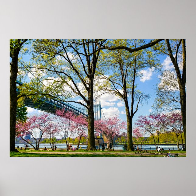 Astoria Park Photo Poster (Framsidan)