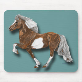 Astrid Islands Horse gaiting Musmatta