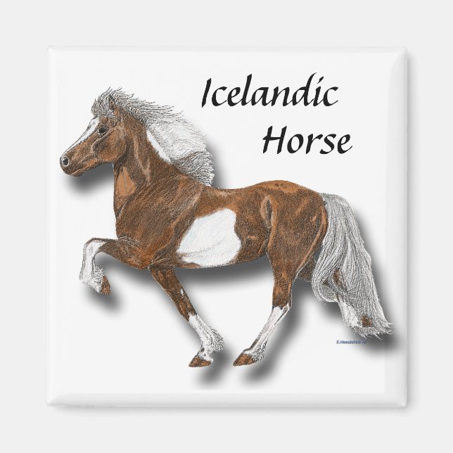 Astrid Magnet (Framsidan)