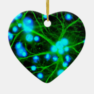 Astrocyte är stjärnan formade Glial celler i Julgransprydnad Keramik
