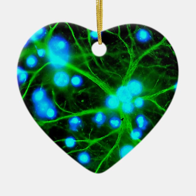 Astrocyte är stjärnan formade Glial celler i Julgransprydnad Keramik (Framsidan)