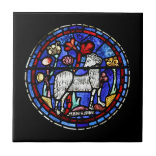 Astrology-plattan av keramiskt glas kakelplatta