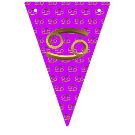 Astrology Zodiac Sign Cancer Guld Symbol Eleg Vimplar