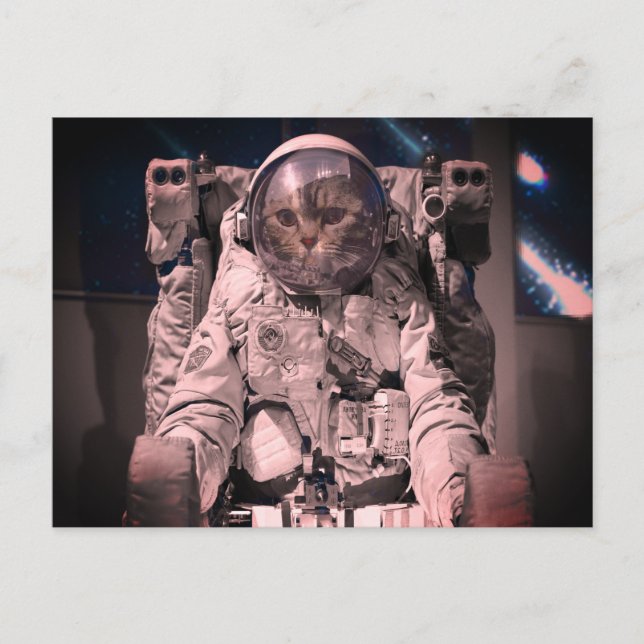 ASTRONAUT CAT-RYMDPOSTCARD VYKORT (Framsida)