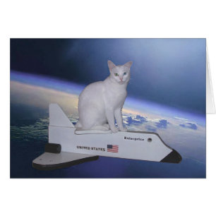 Astronaut Cat (Spirit) på rymdfärgen Hälsningskort