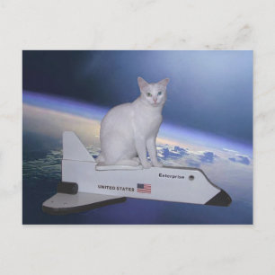 Astronaut Cat (Spirit) på rymdfärgen Vykort