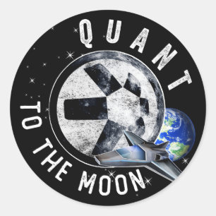 Astronaut Skate Quant QNT Crypto Coin HODL Token T Runt Klistermärke