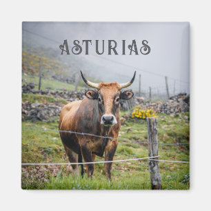 Asturias Bergskoa Resa Magnet