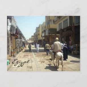 aswan donkey vykort