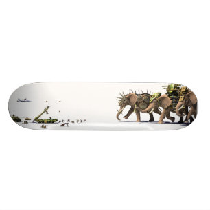 Asymmetriskateboard Mini Skateboard Bräda 18,7 Cm