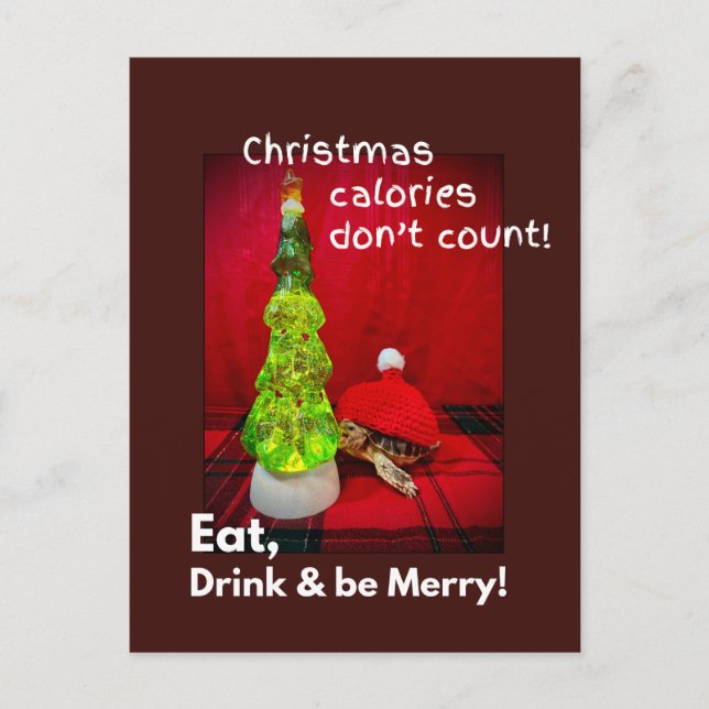 Ät dryck och var rolig, baby sulcata-sköldpadda vykort (Framsida)