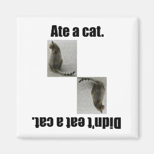 Åt en Cat. Magnet
