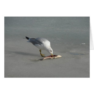 Ät fisk hälsningskort