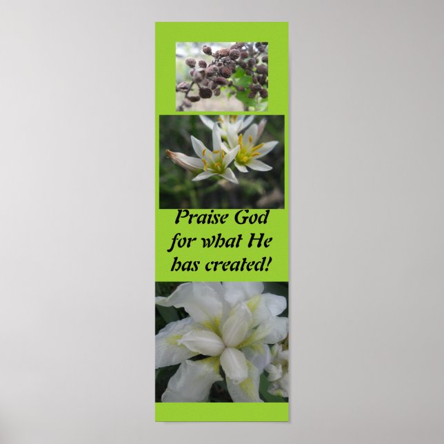 Ät Gud för vad han har skapat! Poster (Framsidan)