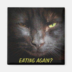 Ät igen? Kylskåp för matta meme Magnet