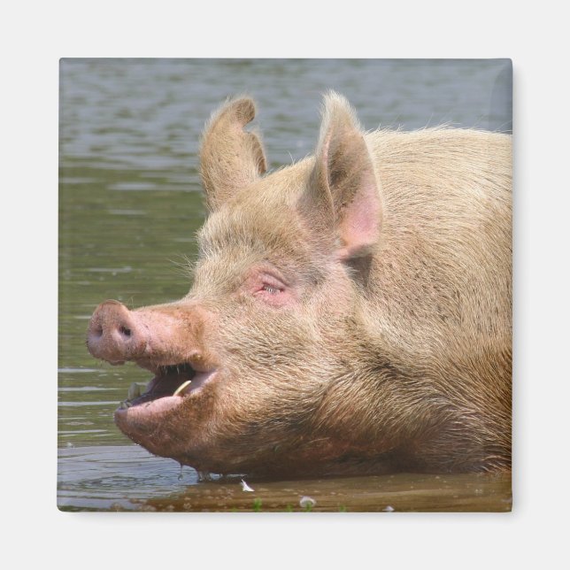 Ät inte det! magnet (Framsidan)