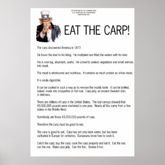 Ät karpen! poster