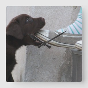 Ät min sko! Labrador Puppy Fyrkantig Klocka