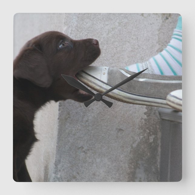 Ät min sko! Labrador Puppy Fyrkantig Klocka (Framsida)