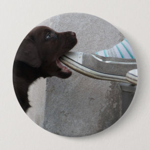 Ät min sko! Labrador Puppy Knapp