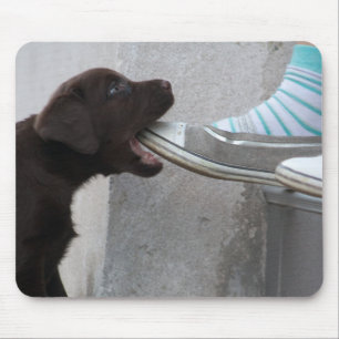 Ät min sko! Labrador Puppy Musmatta