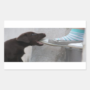 Ät min sko! Labrador Puppy Rektangulärt Klistermärke