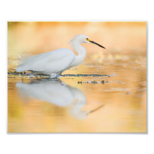 Ät när sol är på väg fototryck (Framsidan)