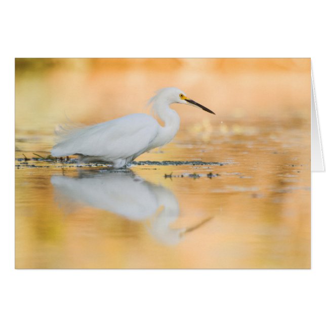 Ät när sol är på väg hälsningskort (Framsidan Horizontal)