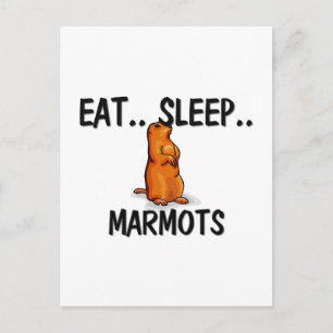 Ät SnedströmMARMOTS Vykort