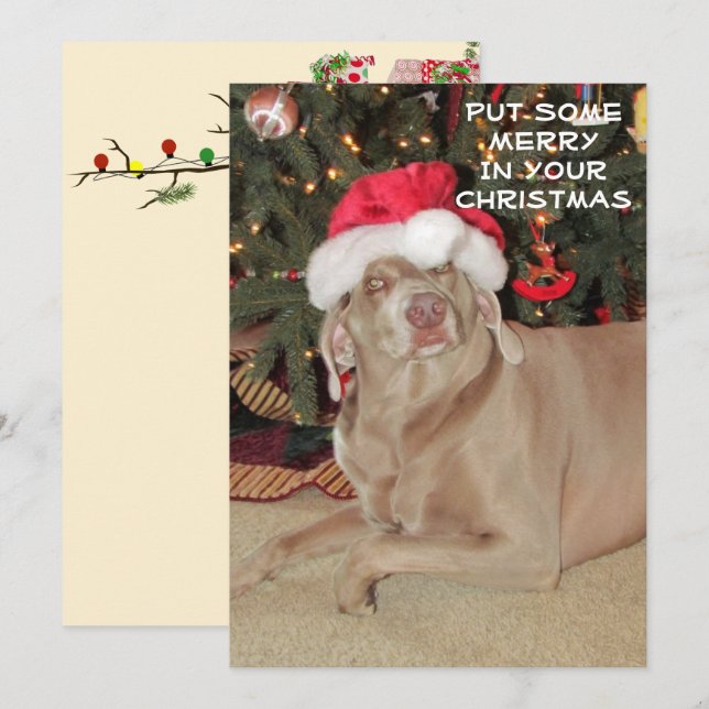 Åt Weimaraners jul (Fram/baksida)