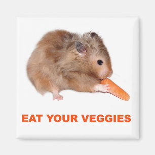 Äta dina veggies magnet