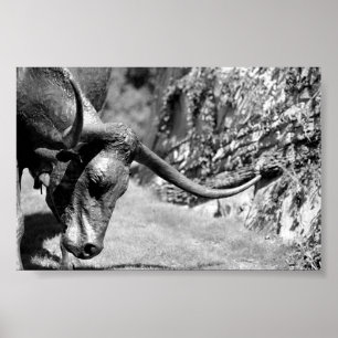 Äta för Longhorn Poster
