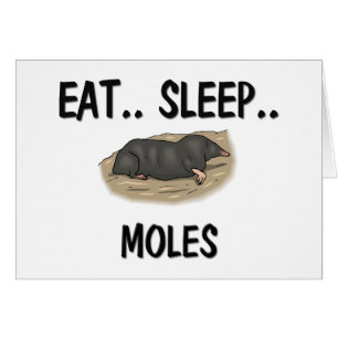 Äta sömnMOLES Hälsningskort