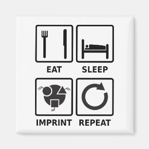 Äta, sova, imprint, mono grafiskt för magnet