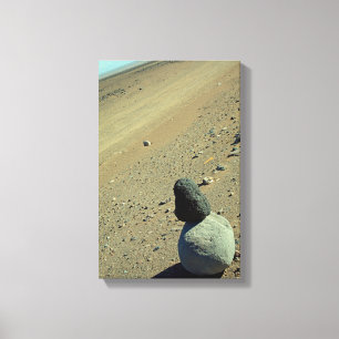 Atacama Desert Canvastryck